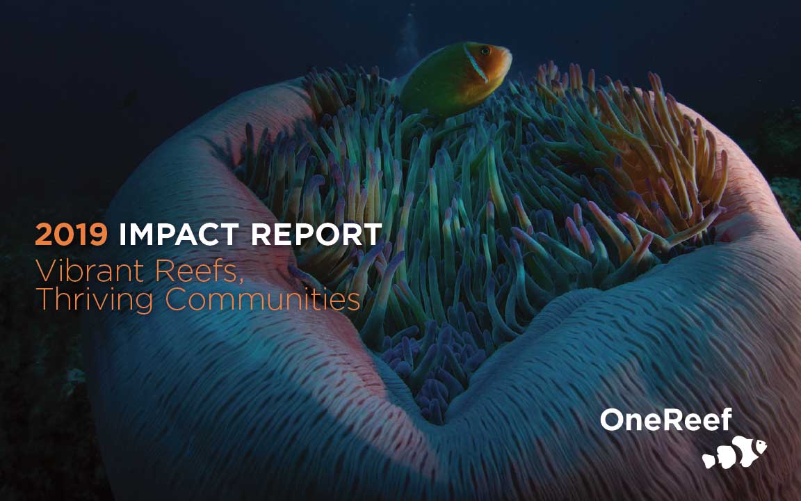 OneReef 2019 Impact Report