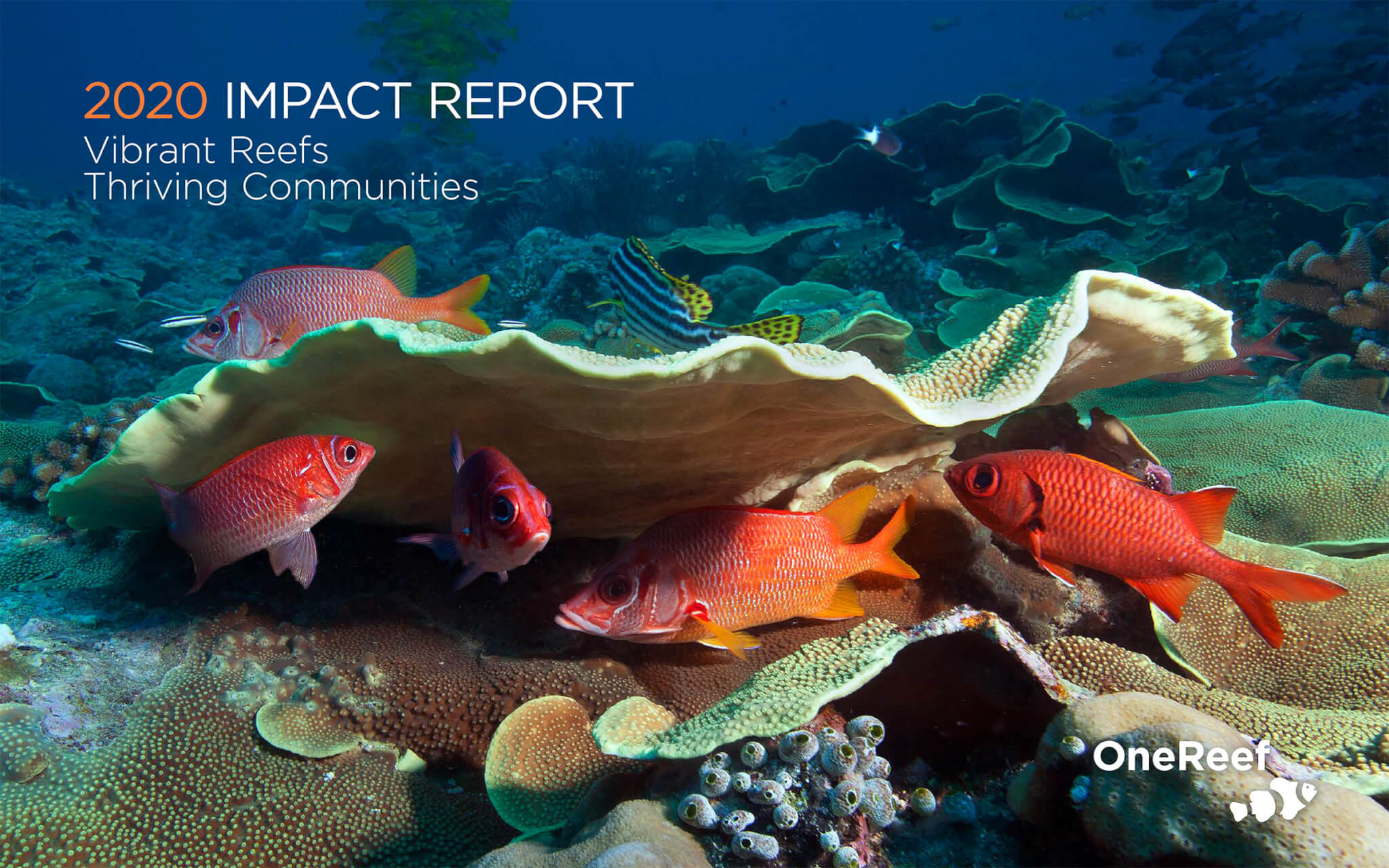 OneReef 2020 Impact Report