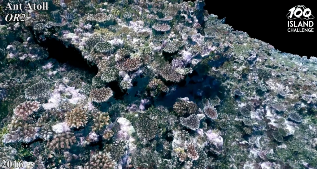 This is an example of a 3-D flythrough video that was created for Ant Atoll, a UNESCO World Biosphere Reserve.