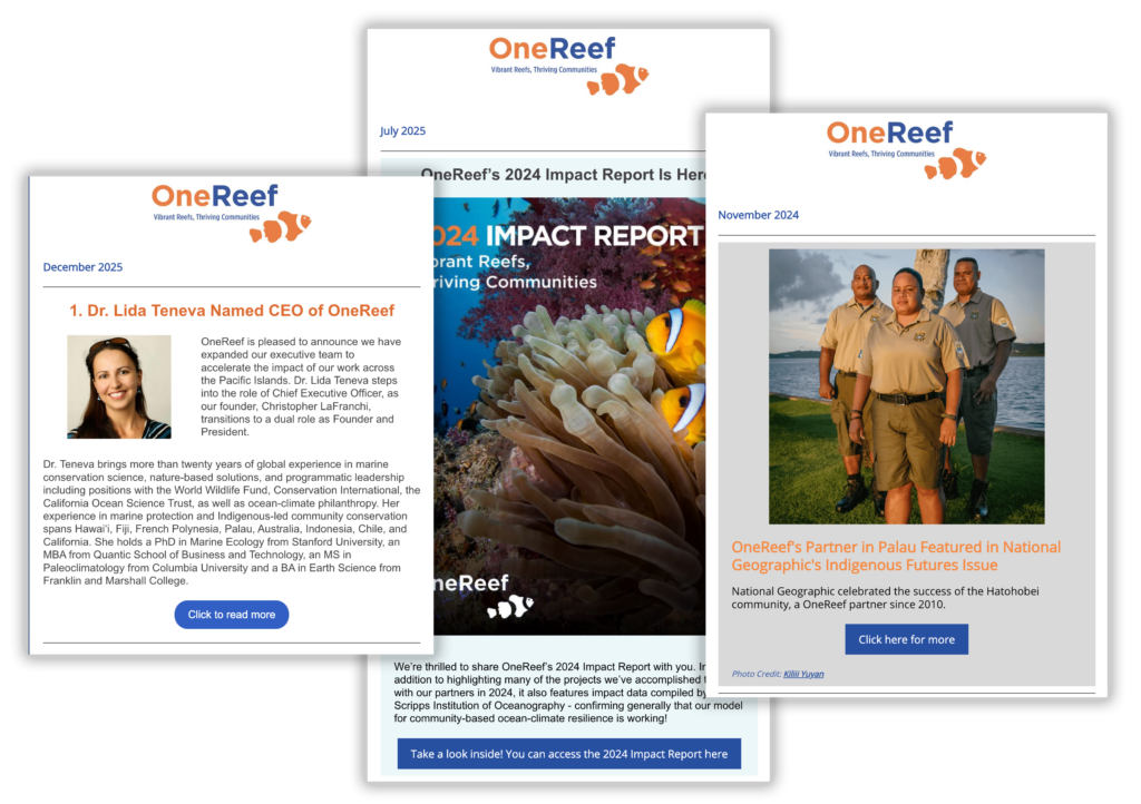 newsletter image